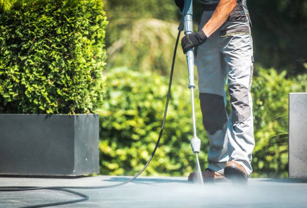 Best Soft Washing  in Suitland, MD