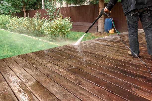 Best Driveway Pressure Washing  in Suitland, MD